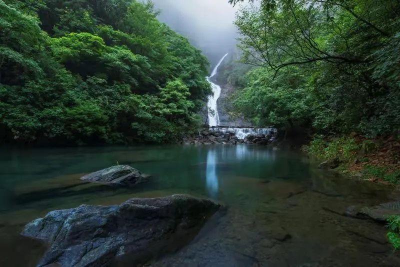 逃离月日森林