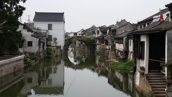 营救小乌龟