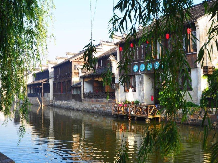 拯救小萌虎