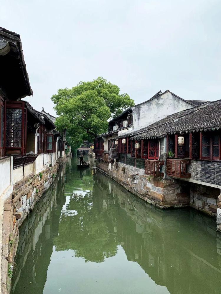 天然的“泻药”找到了,没事吃两口,排出宿便,腰也慢慢变细了!